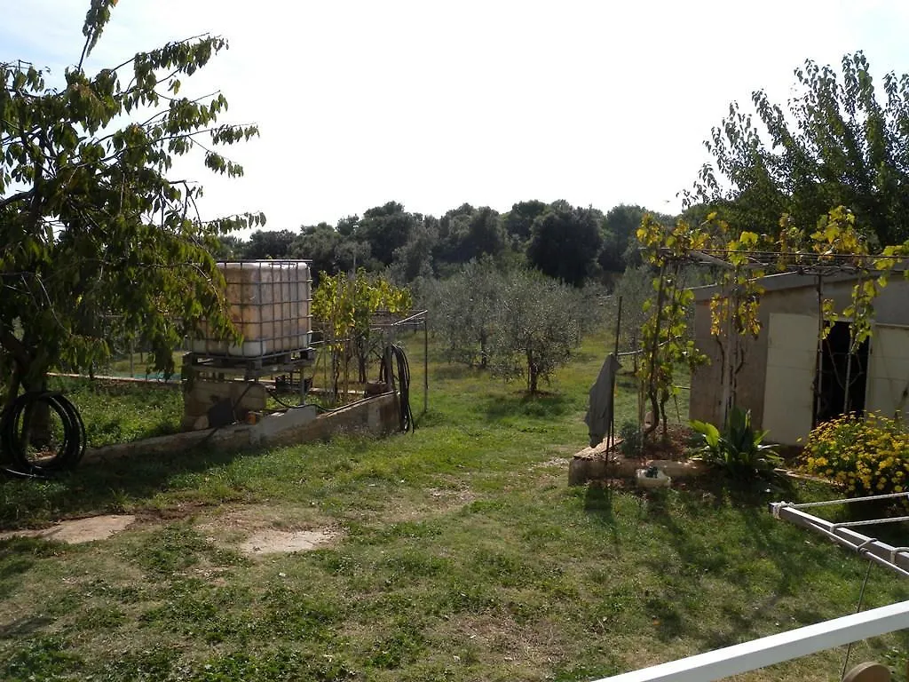 Apartment Vinkuran 6